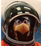 Eaglenaut87's Avatar
